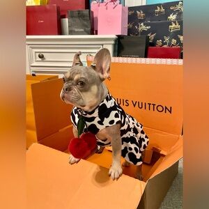 Zealous in all domains